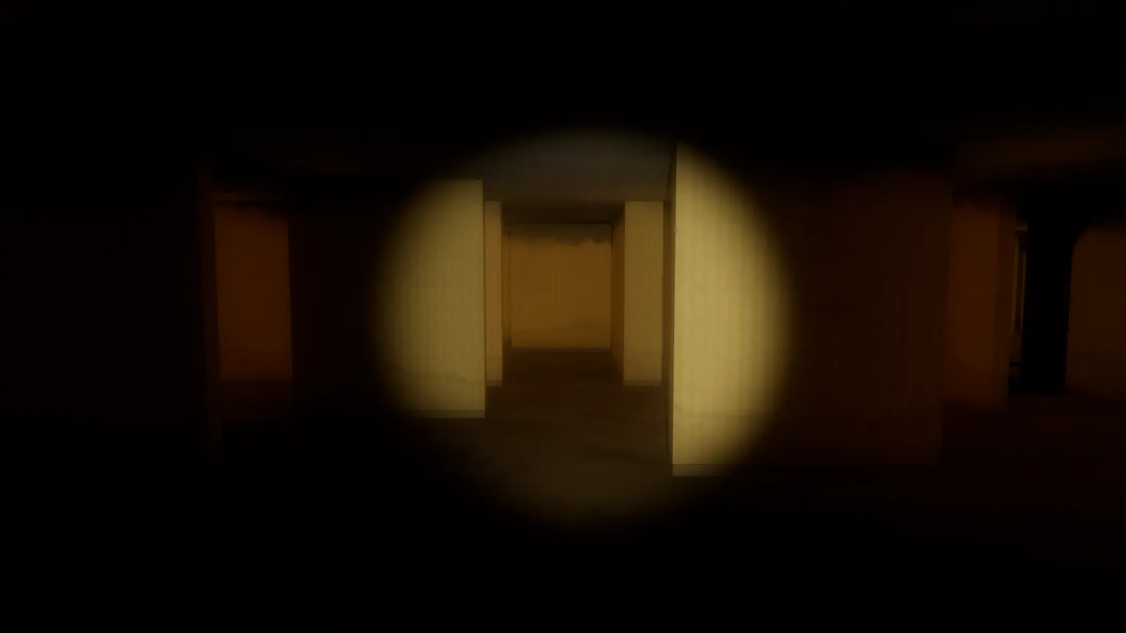 A pitch-dark office corridor lit only by a circle of flashlight