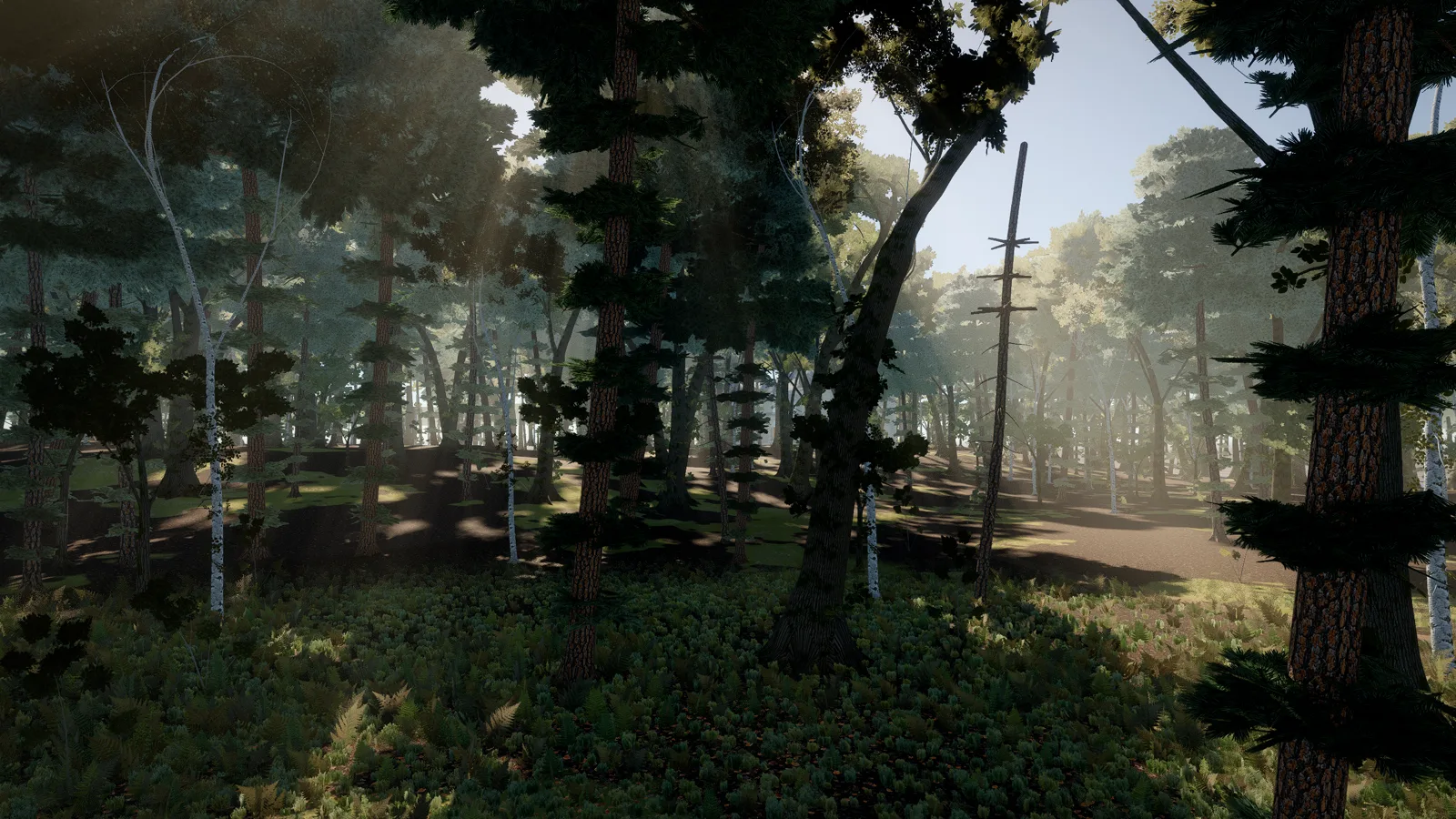 Sunlight falling through a forest in the Zombie Woods, rendered live in Arcwright