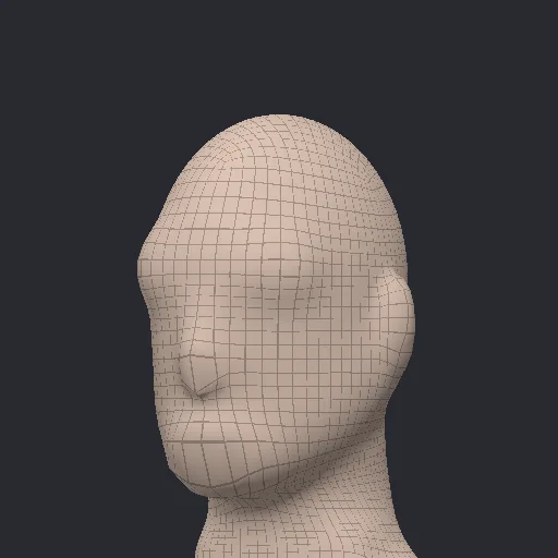 A wireframe of a head on an Arcwright body model