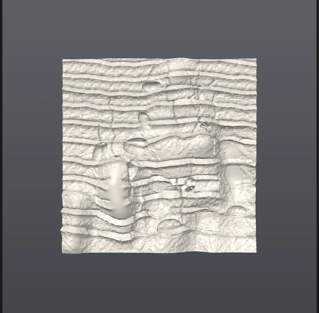 A sculpted canyon wall in plain grey